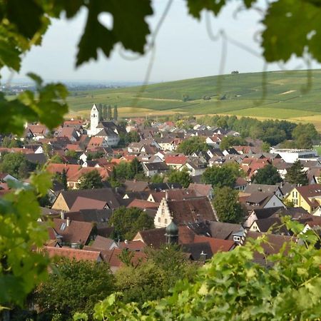 Ferienwohnung Schneckental Pfaffenweiler المظهر الخارجي الصورة