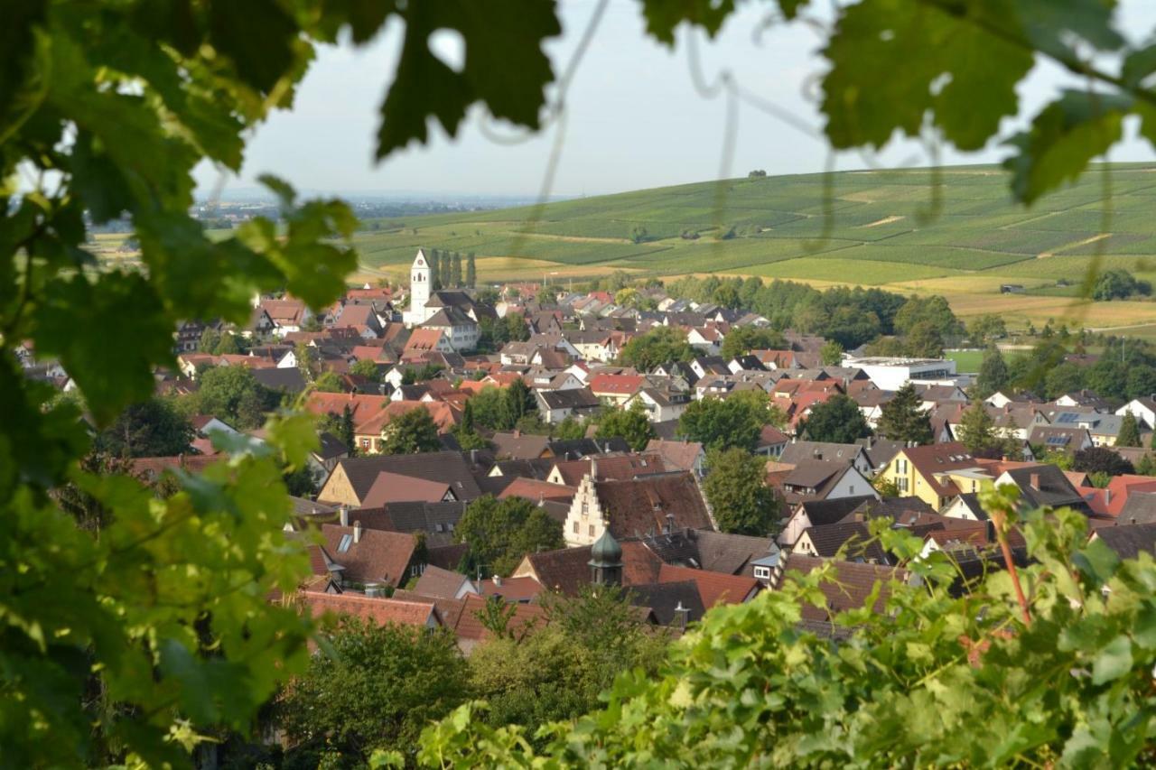 Ferienwohnung Schneckental Pfaffenweiler المظهر الخارجي الصورة